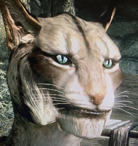 3A385862 A9D5 49A2 88FA D2B55E75B78E