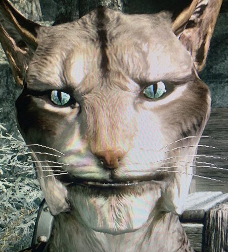 A9EBD1DD 6101 4A83 A809 C074CE283113