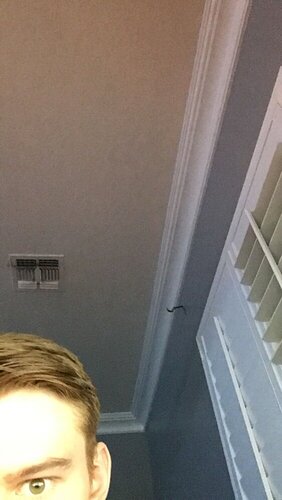 Snapchat-653540965.jpg