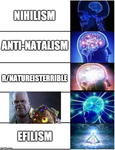 Ez0tnm3m3dp31