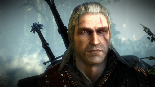 1791822-witcher2201105191011188.png