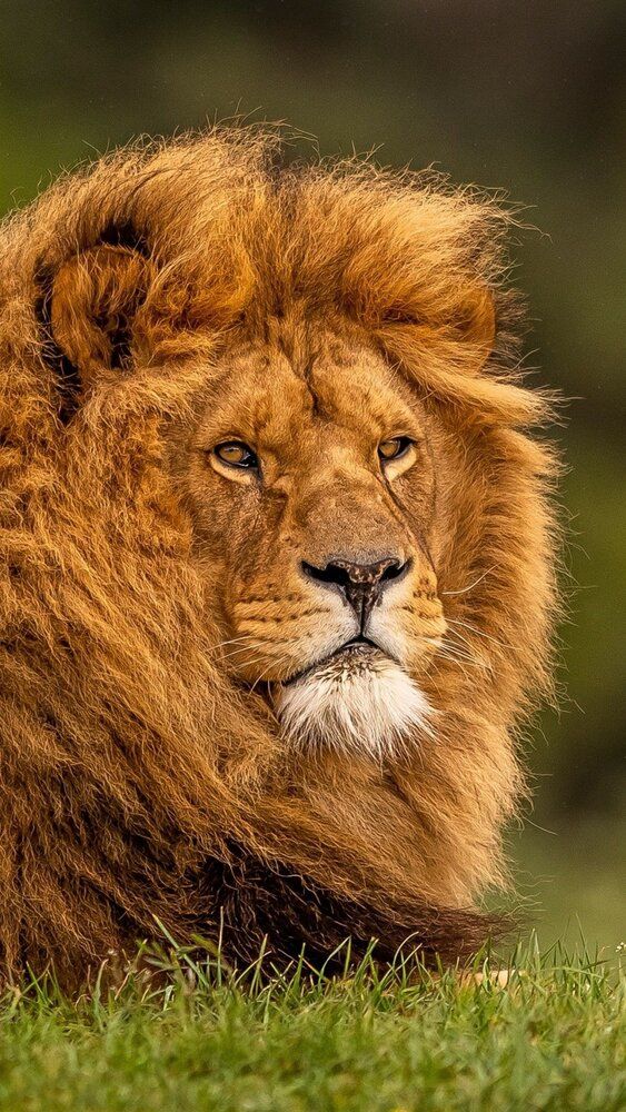 A0e4be1ed34d74f3bcc1e5008f83cdc2