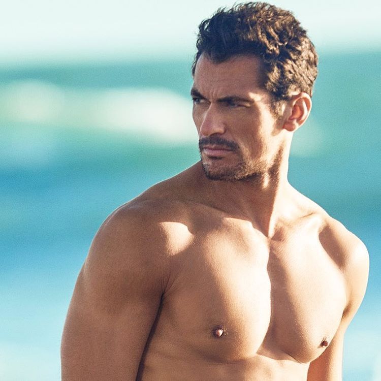 C1306feff607fa9284cdcfd4088dfb2c