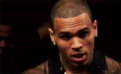 0488CD1A 2077 4BD9 ADEA 968A9D0D9904