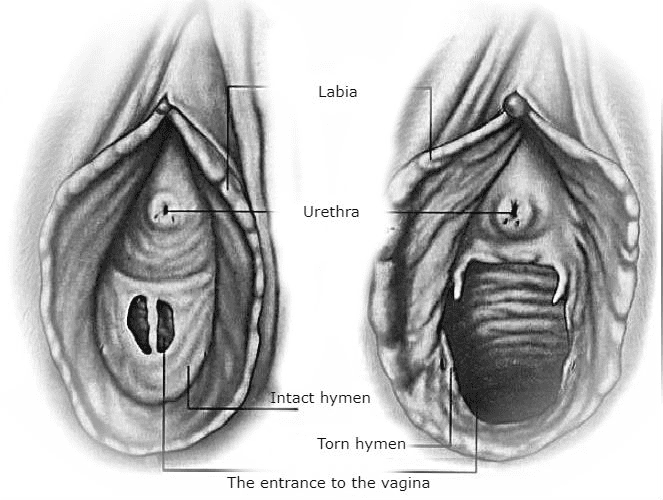 1588758920640
