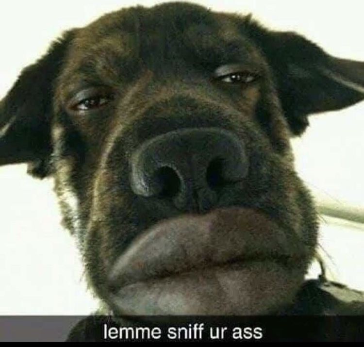 1588698377597