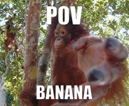 95952182 2646326545688150 3899498810602160128 n