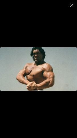 96142820 678984649333510 5268358347295293440 n