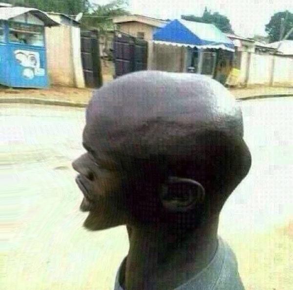 01DB22B8 79E3 4DFE A8CF BCACC007C74E