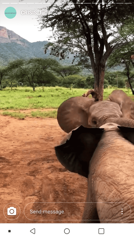 Screenshot 2020 05 04 10 01 56