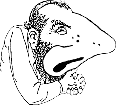Jew nose