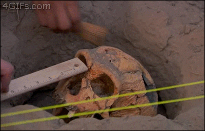 Giphy