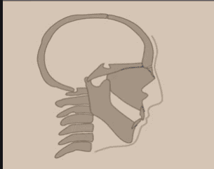 1589465228179 1589465228179