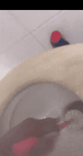 Cleaningtoilet 2