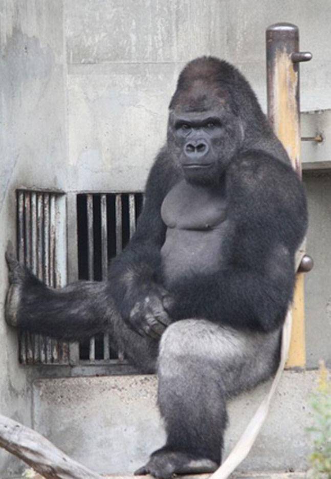 Cf55cf06458c0ecb8bda7b29a3b0f0c9647x936x1