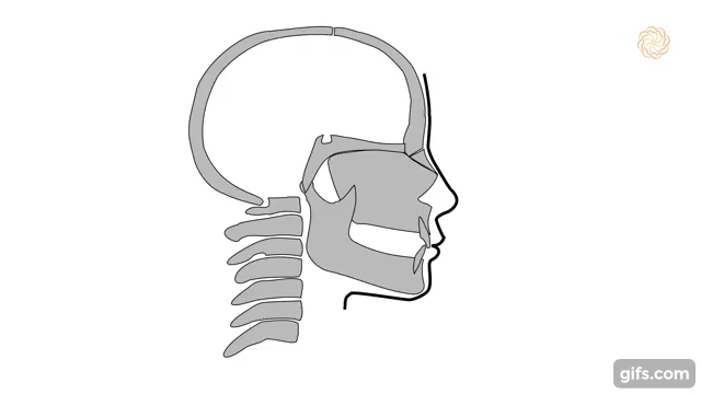 1550804363 1548770546 gif 1