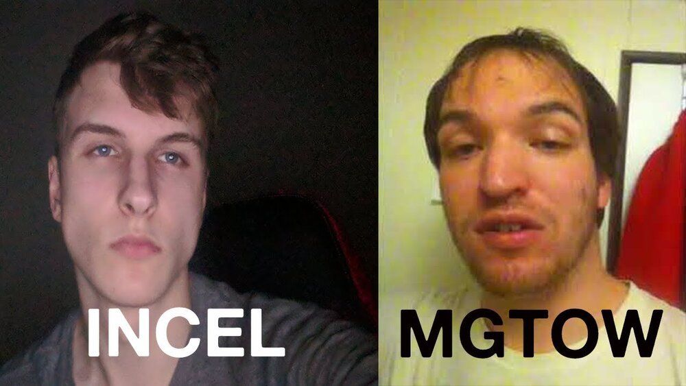 Incel vs mgtow