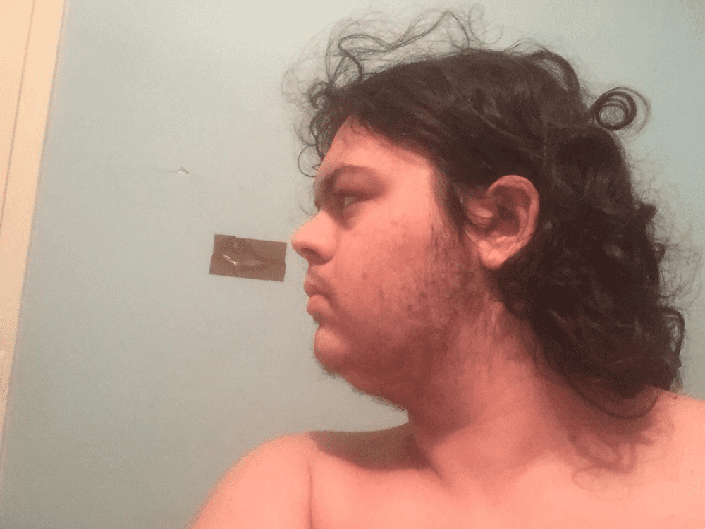Pig