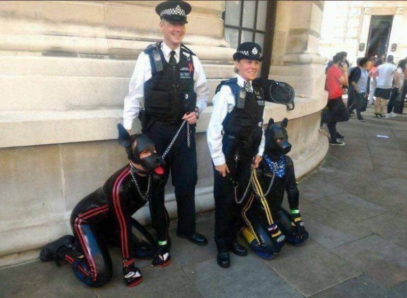 C65337AD F733 4EC3 8A3A 845FCE9AFFBD