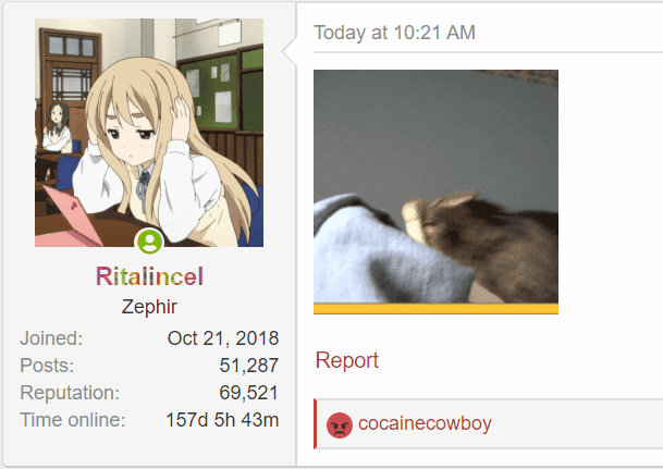 1589886578327