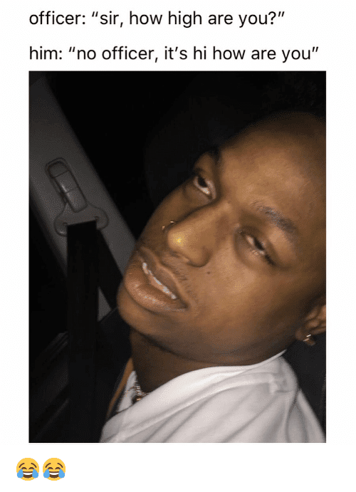 Officer sir how high are you him no officer its 41331333