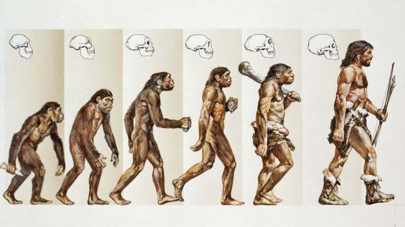101618 79 Evolution Biology History Drugs 800x448