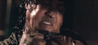 SillyMeekBluebottlejellyfish size restricted