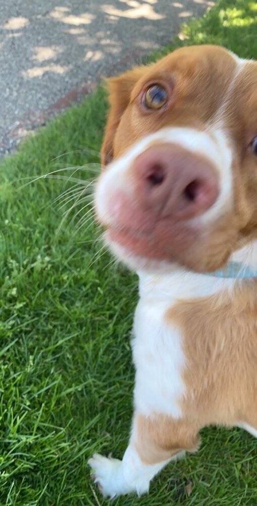 85D7719D AFEC 4D39 840F AF31F07AD4AC