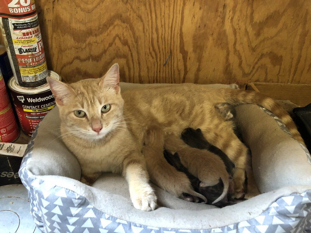 3476F7E0 D4D3 4139 BE68 23E97A321D2E