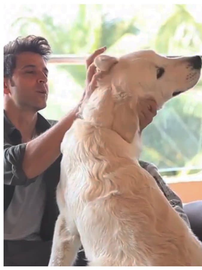 98342973 708579629910442 3114773363243876352 n