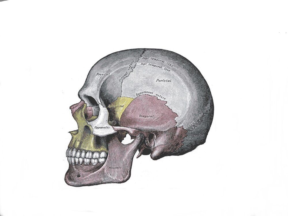 6B1C41D4 2A9D 432A 8F5E 1C4BB6BC875C