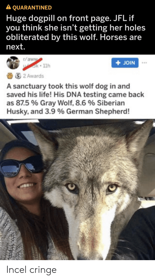 A quarantined on front page jfl if huge dogpill you 62667990