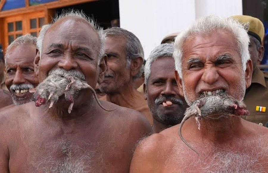 Starving Indian Farmers Protest in Delhi with Human Skulls and Rats