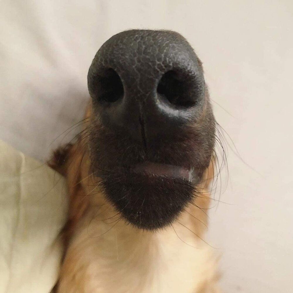 DB68D9F4 639D 49E1 BBC3 BDBC186A3751