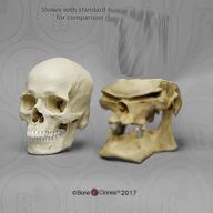 PSFix 20191117 040447