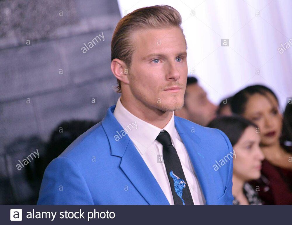 Los angeles usa 14th jan 2020 alexander ludwig arrives at the bad boys for life los angeles pr Los angeles usa 14th jan 2020 alexander ludwig arrives at the bad boys for life los angeles pr