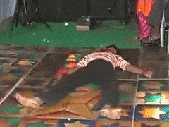 ElaborateQuarterlyFieldspaniel max 1mb ElaborateQuarterlyFieldspaniel max 1mb