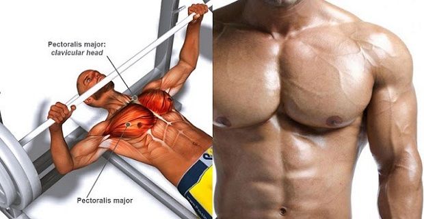 How to Bench Press