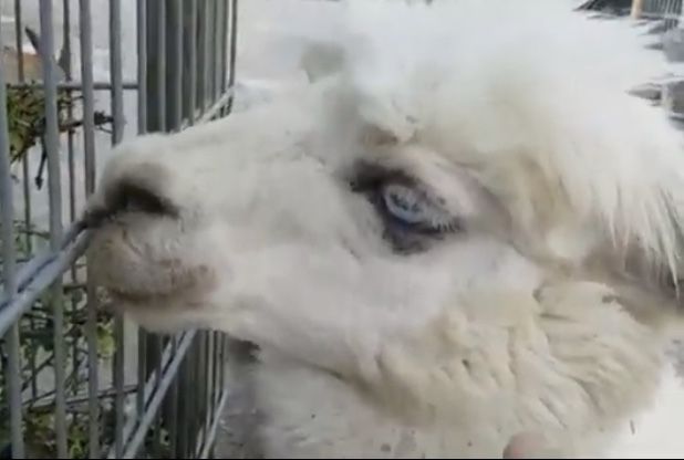 3B8B388E 4805 4644 851D 3716F140FC3A