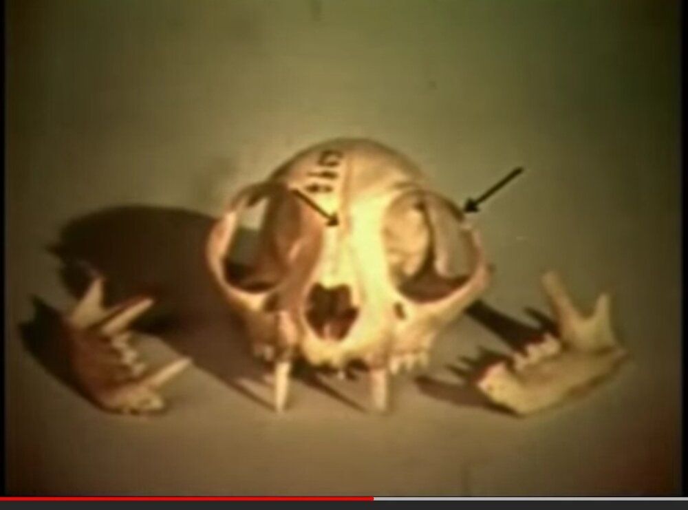 Screenshot 20200528 204723  01