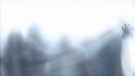 MellowSingleClownanemonefish size restricted