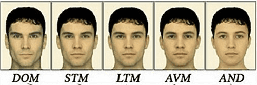 1590720065110