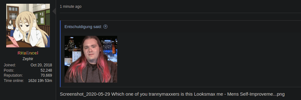 Screenshot 2020 05 29 Which one of you trannymaxxers is this Looksmax me   Mens Self Improveme