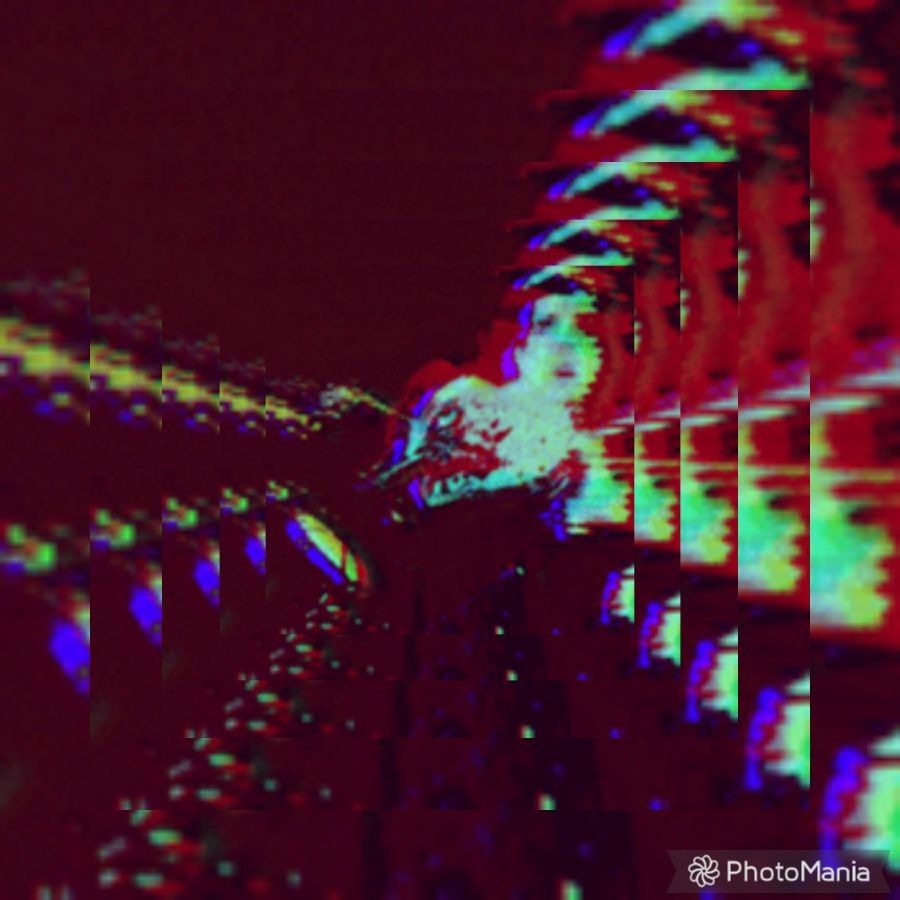 Photomania 44abcb55cc004007e768c9b722123e70 1
