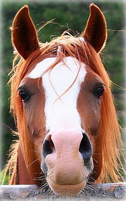 296eb2e1c79994d7e631fc9ecc3d506b