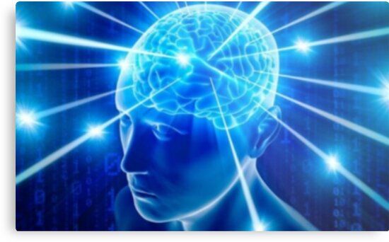 E376CA92 0B18 4ABB 85F3 B3082EA60E14