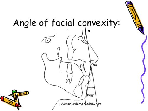 soft-tissue-land-marks-certified-fixed-orthodontic-courses-by-indian-dental-academy-18-638.jpg