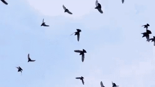 1588905195654.png