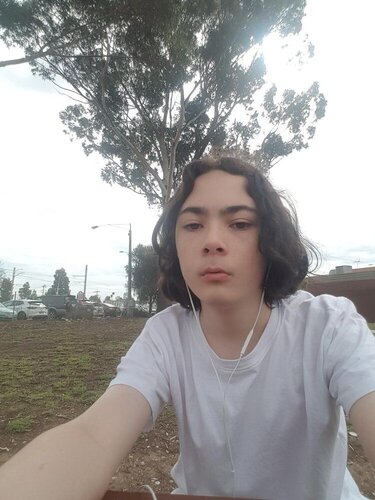 downloadfile-4.jpg