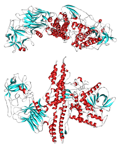 401311-d7faba449460c990690ee00f1bcfe3ab.png
